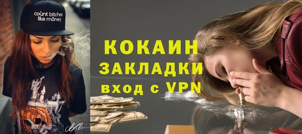 тгк Арсеньев